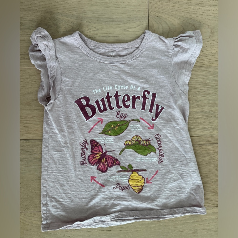 Butterfly Life Cycle T-shirt